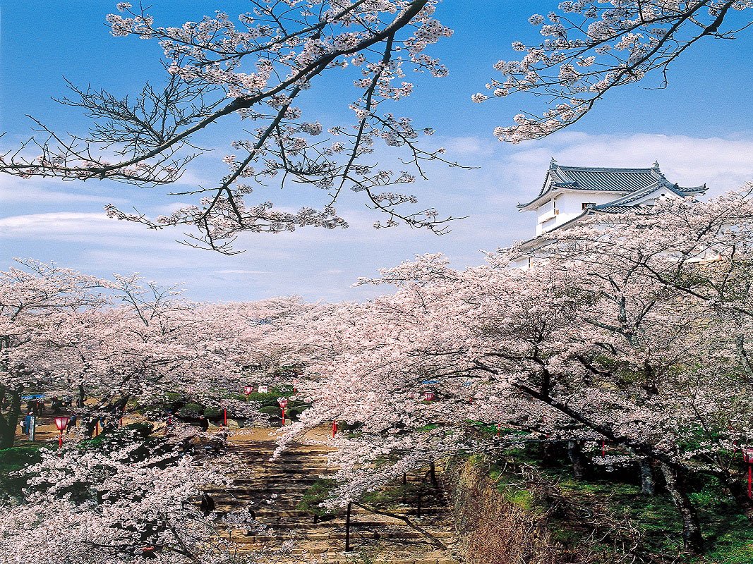 🏯 쓰야마 성(가쿠잔 공원) 이미지 6